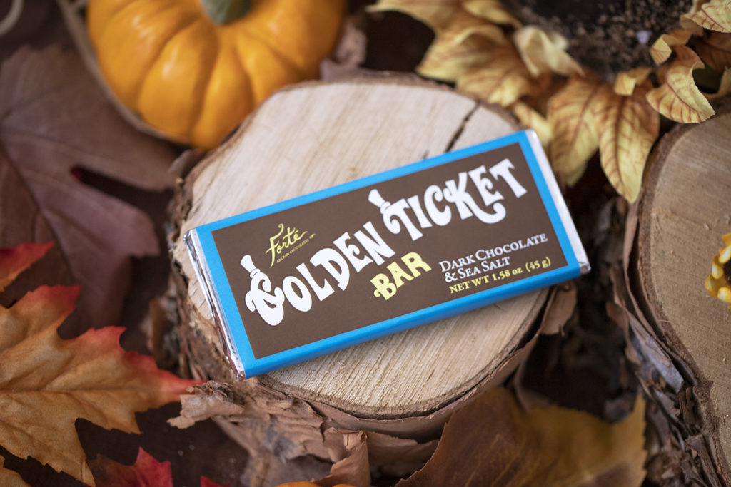 Dark chocolate and sea salt golden ticket bar with blue border atop scattered fall leaves