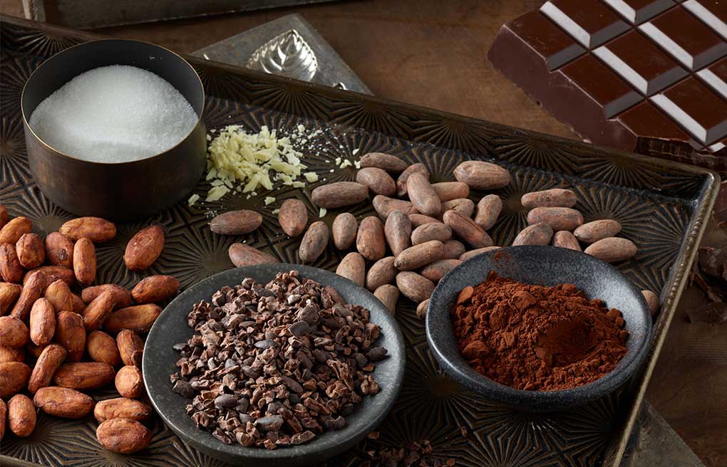 Ingredients on a scalloped tray including a bowl of sugar white chocolate shavings cacao beans and in two small bowls cacao nibs and cocoa powder with bar chocolate and bar mold in background